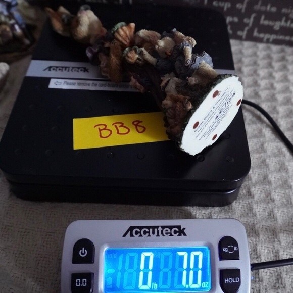 Boyd’s Bears & Friends Figurine Flora, Amelia & Eloise..The Tea Party #2846 - Picture 7 of 8